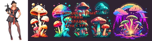 спиды Арсеньев