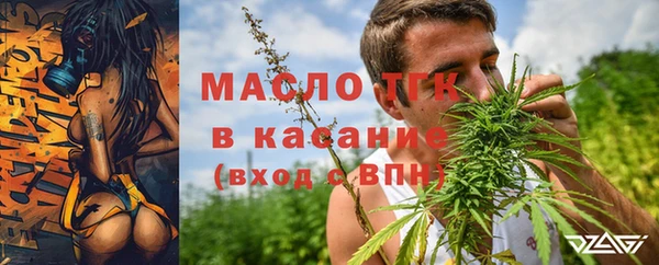 эйфоретик Аркадак