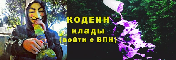 спиды Арсеньев